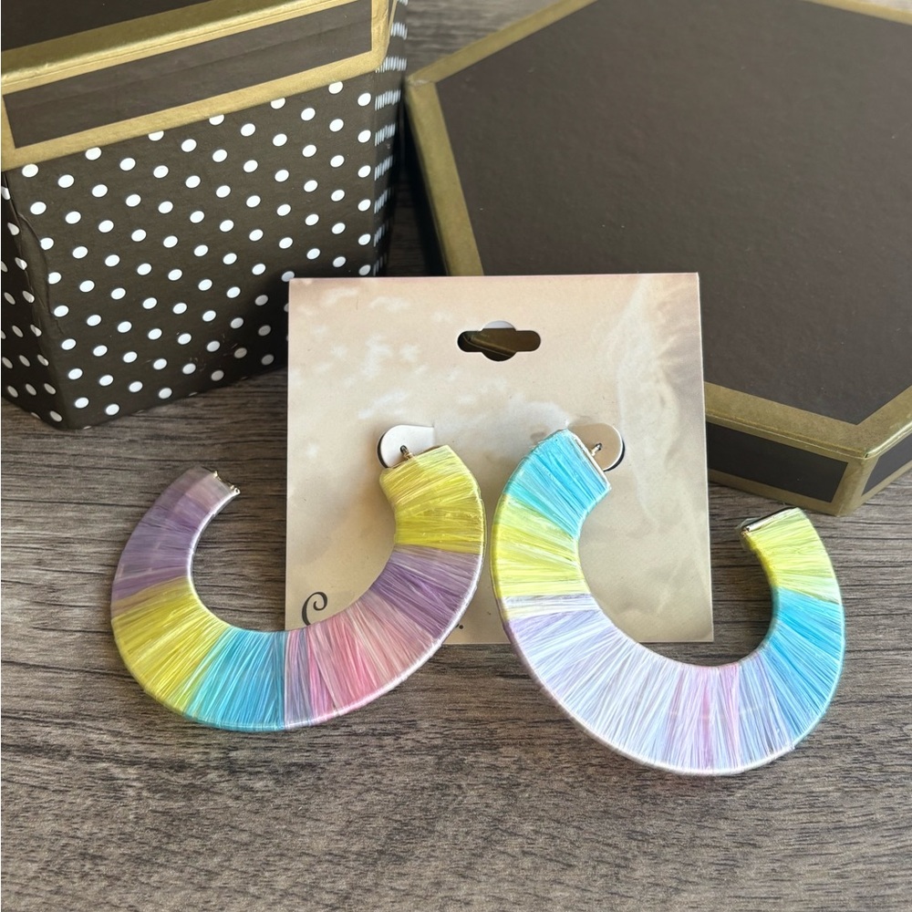 Colorful Hoop Earrings